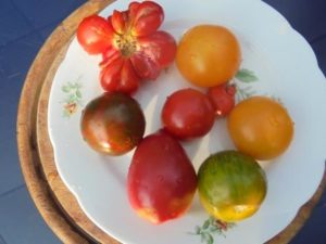 verschiedene Tomaten-Sorten auf einem Teller